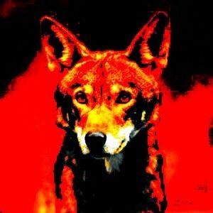 Meet your Posher, Wed_wolf